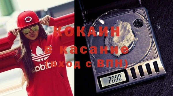 индика Абинск