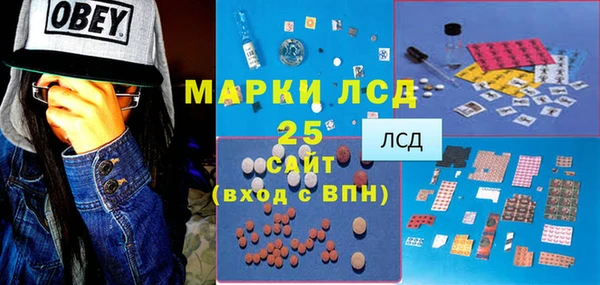 индика Абинск