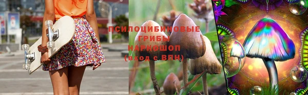 индика Абинск